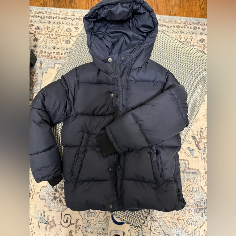 Boys size 8 Zara Jacket